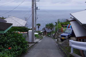 御蔵島風景