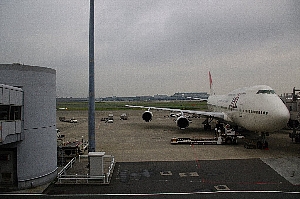 JAL905